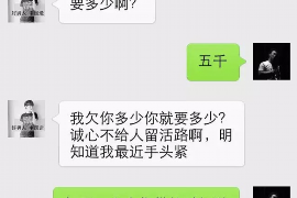 营口融资清欠服务